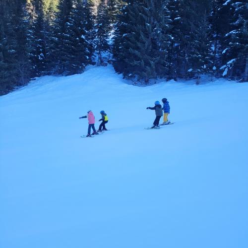 Kinder beim Schifahren