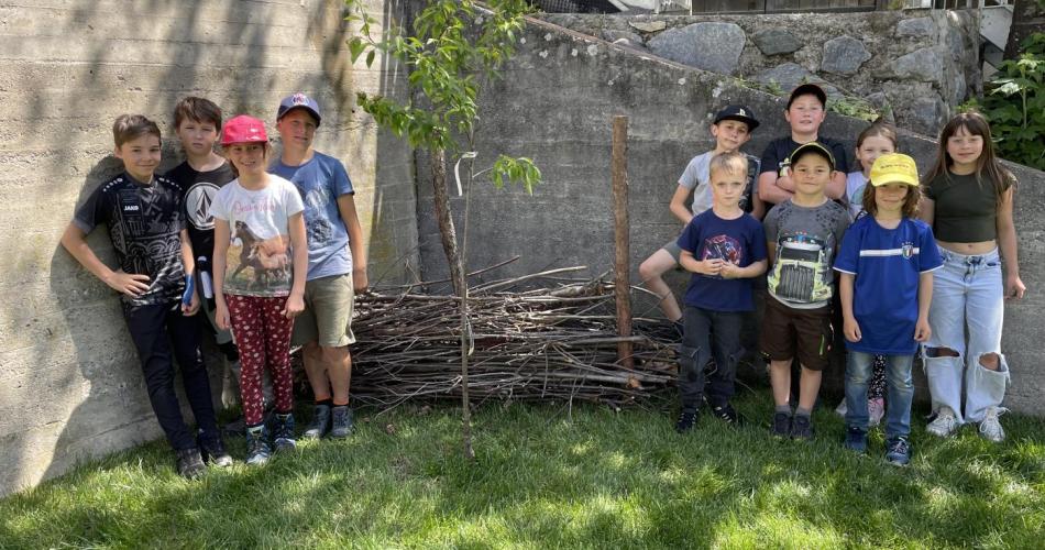 Kinder mit errichteter Totholzhecke 