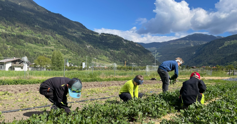 Workshop "Vom Acker auf den Teller"